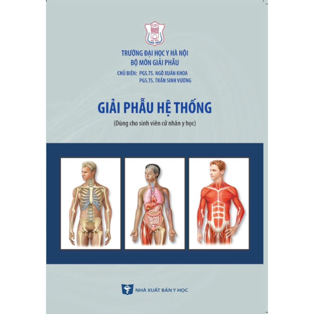 Giải Phẫu Hệ Thống - ĐH Y Hà Nội, PGS.TS Trần Sinh Vương