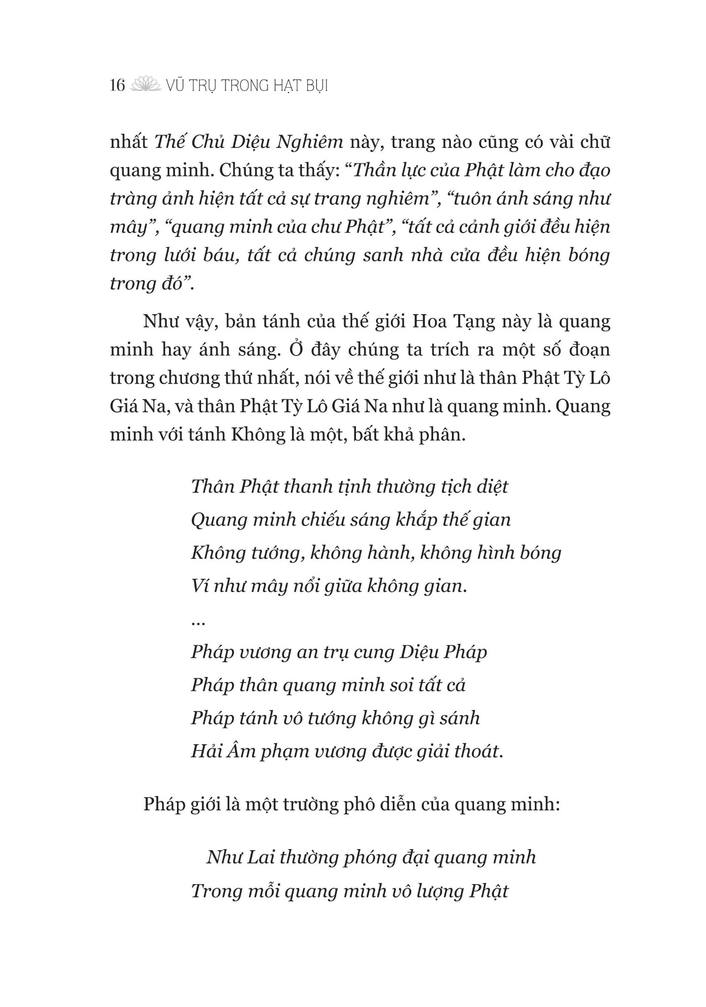 Vũ Trụ Trong Hạt Bụi - Đi Vào Kinh Hoa Nghiêm - Nguyễn Thế Đăng
