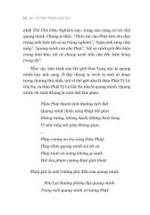 Vũ Trụ Trong Hạt Bụi - Đi Vào Kinh Hoa Nghiêm - Nguyễn Thế Đăng