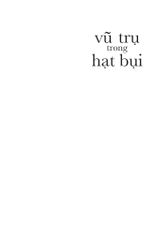 Vũ Trụ Trong Hạt Bụi - Đi Vào Kinh Hoa Nghiêm - Nguyễn Thế Đăng