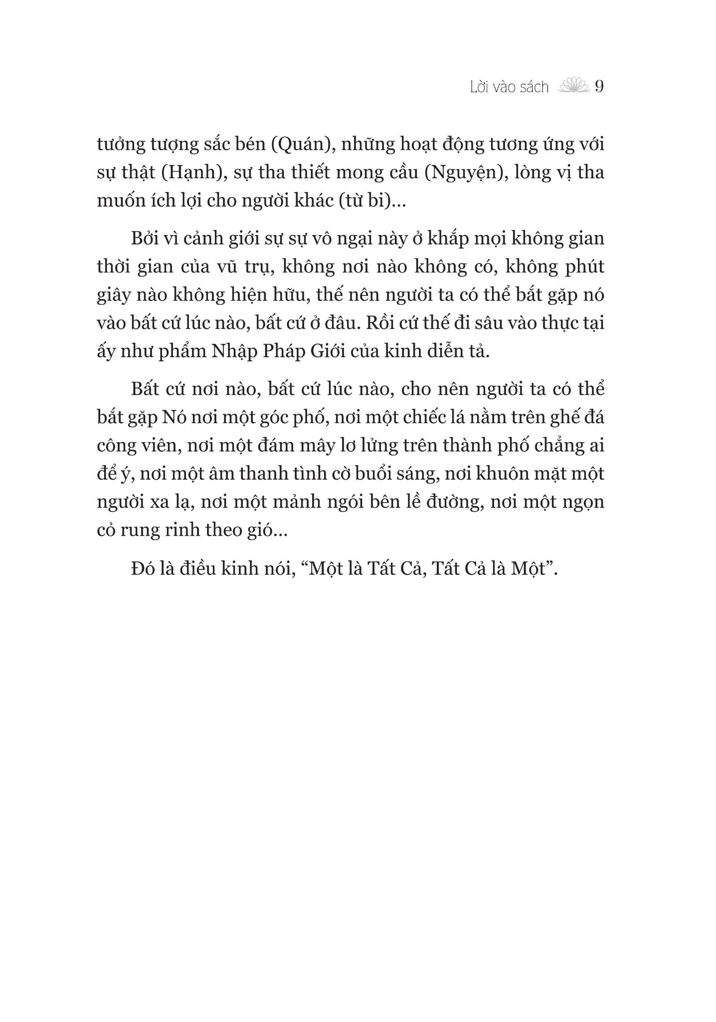 Vũ Trụ Trong Hạt Bụi - Đi Vào Kinh Hoa Nghiêm - Nguyễn Thế Đăng