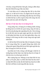 Di Sản Hồ Chí Minh - Di Chúc Của Bác Hồ - Một Giáo Trình Tiếng Việt Độc Đáo - Dương Thành Truyền