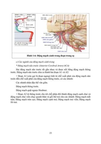  Phục Hồi Chức Năng Chấn Thương Não - TS.BS Cẩm Bá Thức - TS.BS Bùi Huy Mạnh 