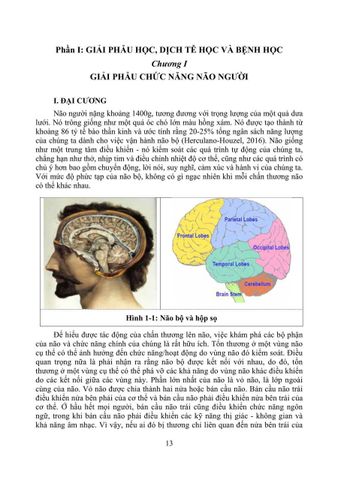  Phục Hồi Chức Năng Chấn Thương Não - TS.BS Cẩm Bá Thức - TS.BS Bùi Huy Mạnh 