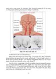  Phục Hồi Chức Năng Chấn Thương Não - TS.BS Cẩm Bá Thức - TS.BS Bùi Huy Mạnh 