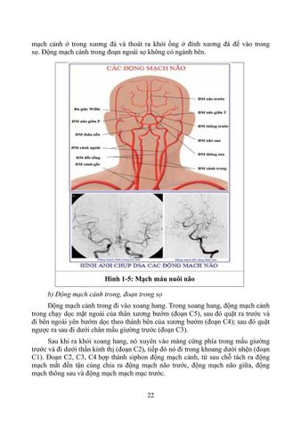  Phục Hồi Chức Năng Chấn Thương Não - TS.BS Cẩm Bá Thức - TS.BS Bùi Huy Mạnh 