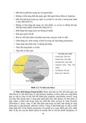 Phục Hồi Chức Năng Chấn Thương Não - TS.BS Cẩm Bá Thức - TS.BS Bùi Huy Mạnh