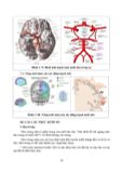  Phục Hồi Chức Năng Chấn Thương Não - TS.BS Cẩm Bá Thức - TS.BS Bùi Huy Mạnh 