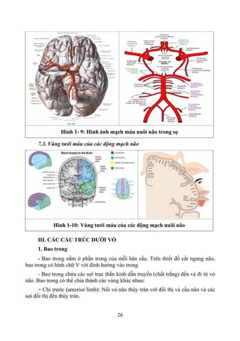  Phục Hồi Chức Năng Chấn Thương Não - TS.BS Cẩm Bá Thức - TS.BS Bùi Huy Mạnh 