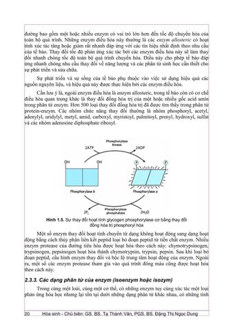  Hóa Sinh (Đào Tạo Bác Sĩ Y Khoa) - ĐH Y Hà Nội 