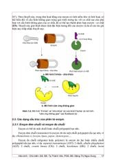 Hóa Sinh (Đào Tạo Bác Sĩ Y Khoa) - ĐH Y Hà Nội