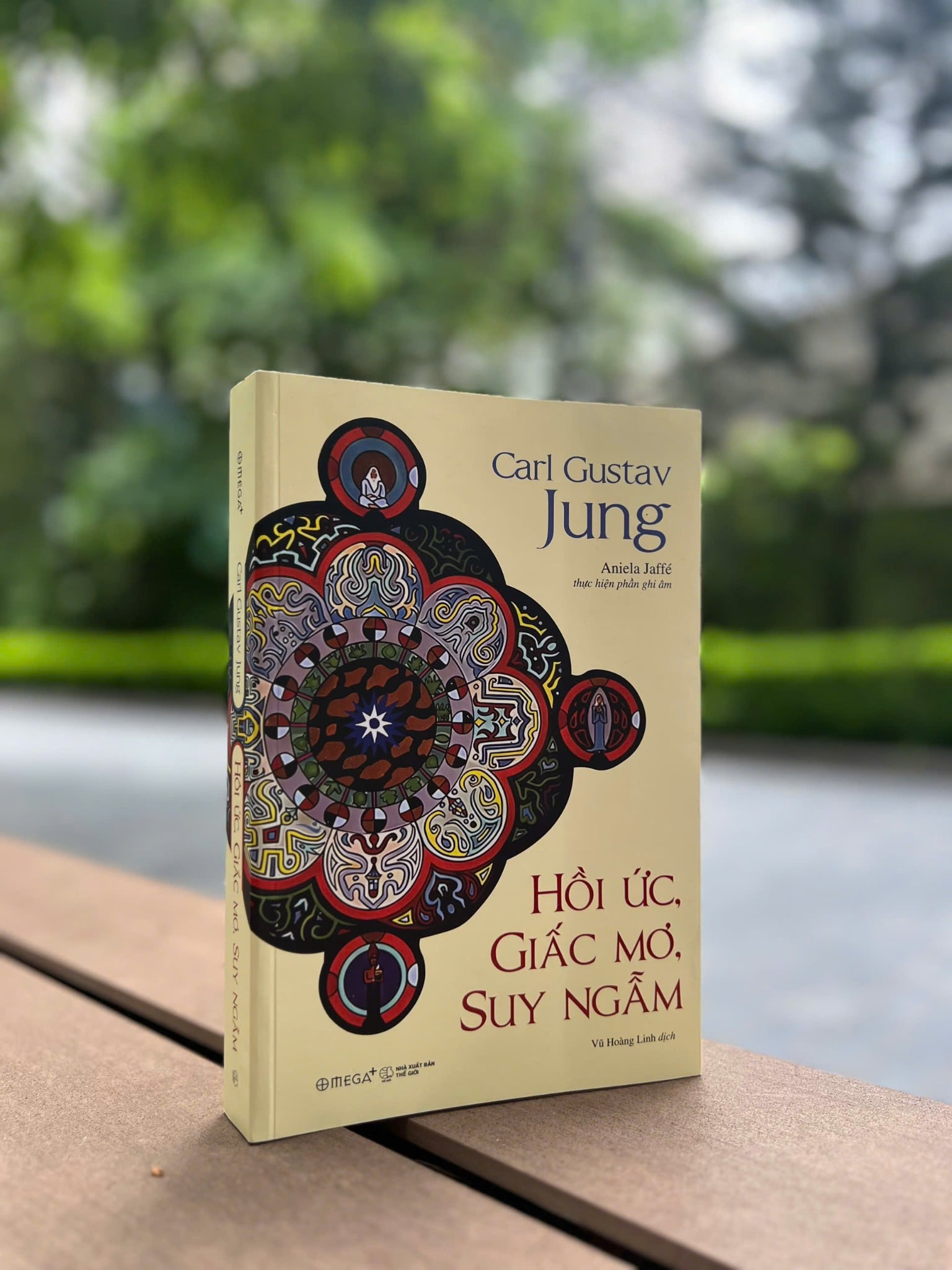 Hồi Ức, Giấc Mơ, Suy Ngẫm (Bìa Mềm) - Carl Jung - ( Dịch Giả Vũ Hoàng Linh )