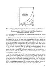 Đánh Giá Và Quản Lý Nguy Cơ Sức Khỏe Môi Trường - PGS.TS. Trần Thị Tuyết Hạnh