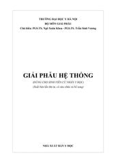 Giải Phẫu Hệ Thống - ĐH Y Hà Nội, PGS.TS Trần Sinh Vương