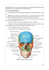 Giải Phẫu Hệ Thống - ĐH Y Hà Nội, PGS.TS Trần Sinh Vương