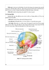 Giải Phẫu Hệ Thống - ĐH Y Hà Nội, PGS.TS Trần Sinh Vương