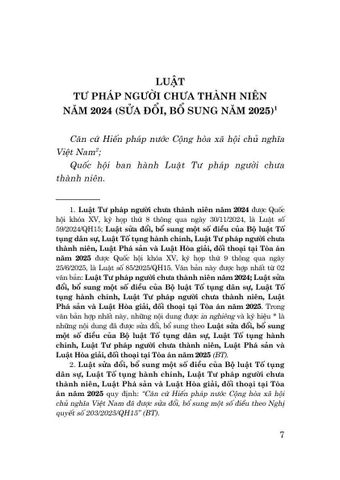  Luật Tư Pháp Người Chưa Thành Niên Năm 2024 (Sửa Đổi, Bổ Sung Năm 2025) - Quốc hội 