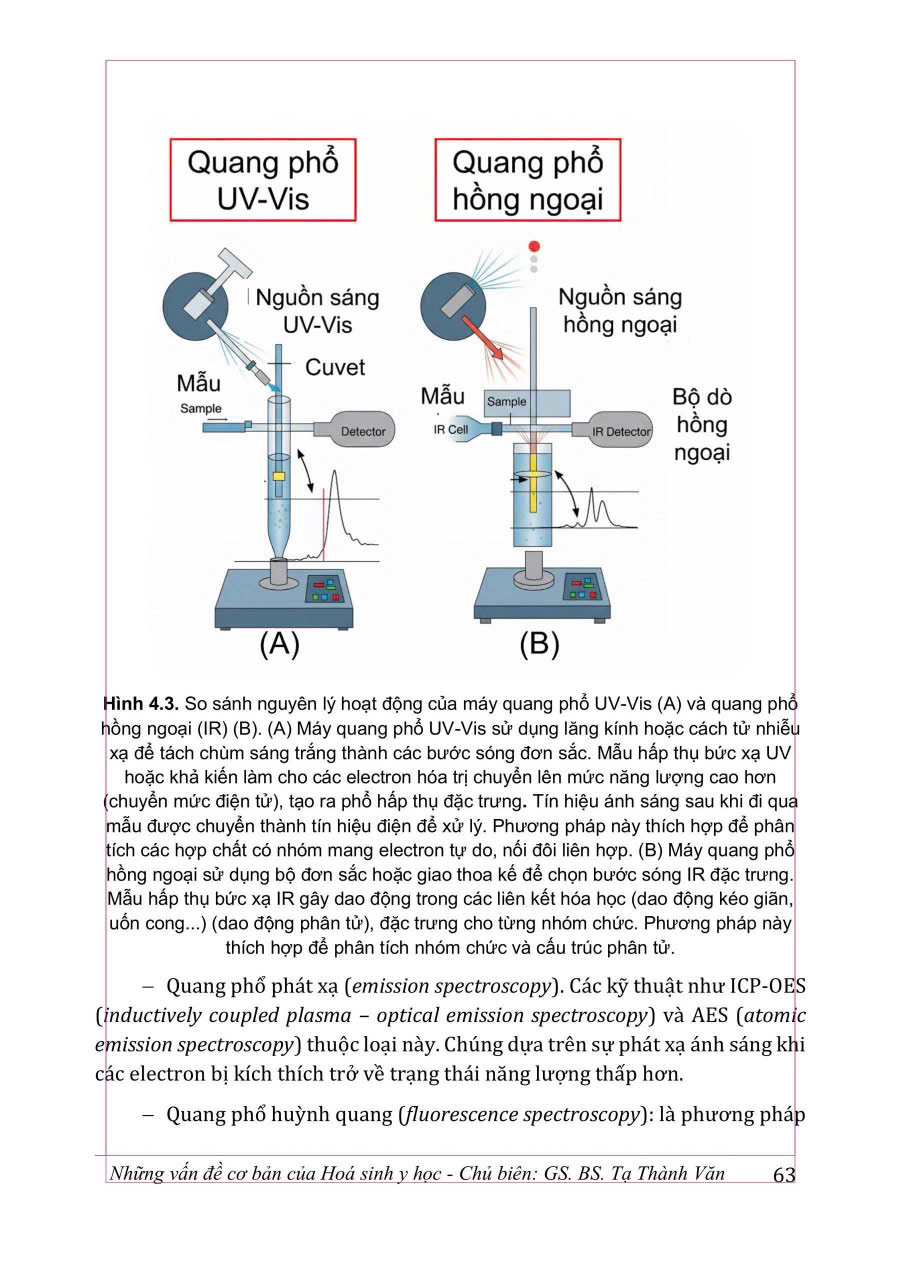 Những Vấn Đề Cơ Bản Của Hóa Sinh Y Học (Giáo Trình Đào Tạo Sau Đại Học) - GS.BS. Tạ Thành Văn