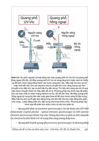  Những Vấn Đề Cơ Bản Của Hóa Sinh Y Học (Giáo Trình Đào Tạo Sau Đại Học) - GS.BS. Tạ Thành Văn 