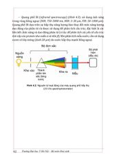 Những Vấn Đề Cơ Bản Của Hóa Sinh Y Học (Giáo Trình Đào Tạo Sau Đại Học) - GS.BS. Tạ Thành Văn