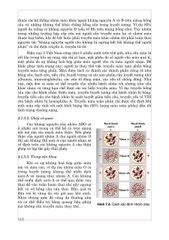 Sinh Lý Học - Sách Đào Tạo Bác Sĩ Đa Khoa - GS.TS. Phạm Thị Minh Đức