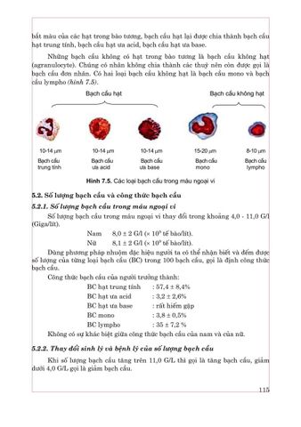  Sinh Lý Y Học - Sách Đào Tạo Bác Sĩ Đa Khoa - GS.TS. Phạm Thị Minh Đức 