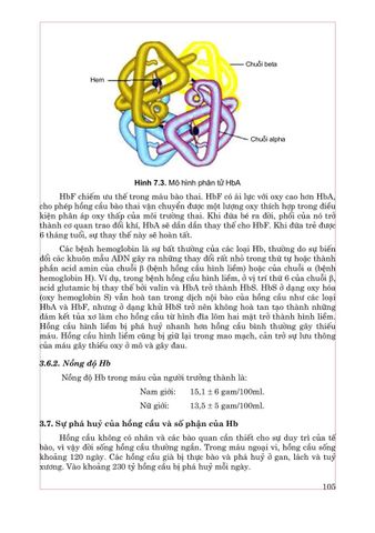  Sinh Lý Y Học - Sách Đào Tạo Bác Sĩ Đa Khoa - GS.TS. Phạm Thị Minh Đức 