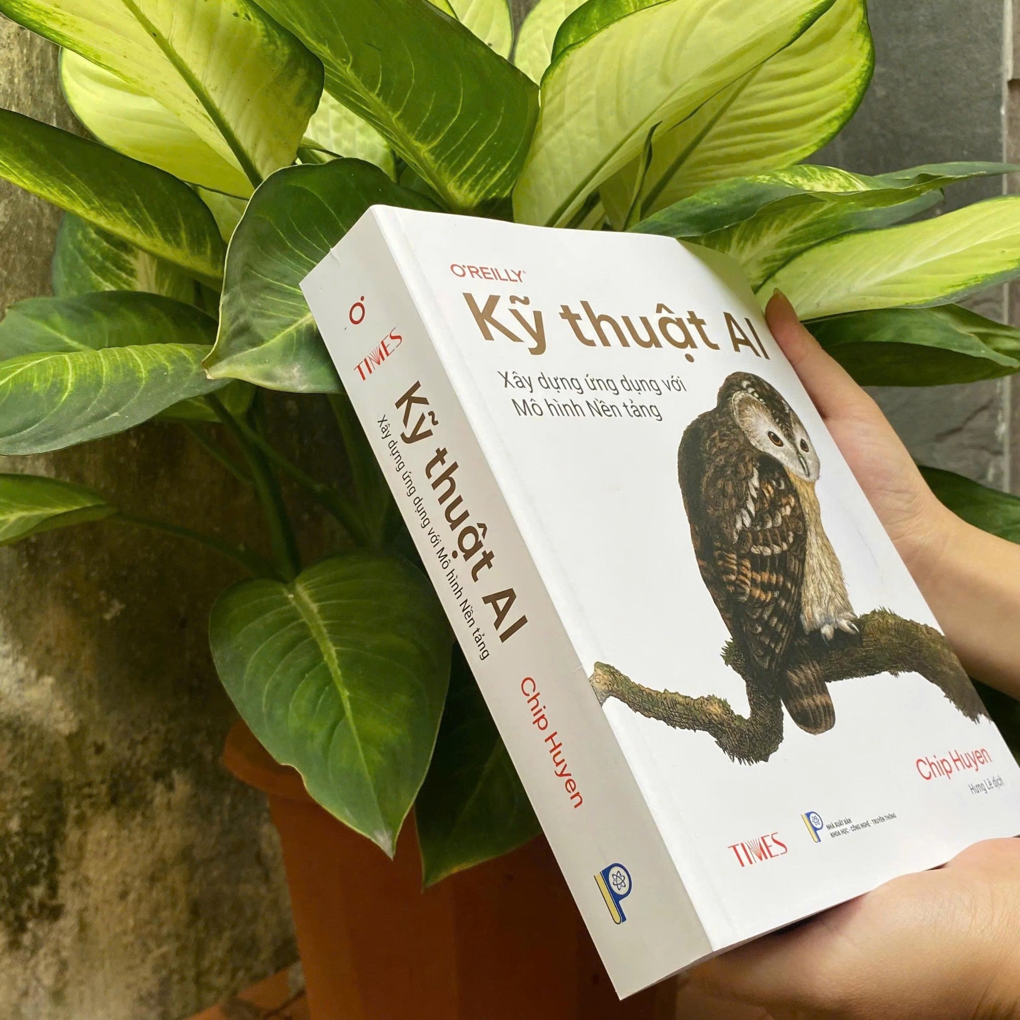 Combo 2 Quyển Thiết Kế Hệ Thống Học Máy + Kỹ Thuật AI - Xây Dựng Ứng Dụng Với Mô Hình Nền Tảng
