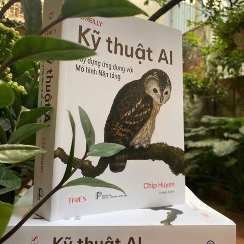  Combo 2 Quyển Thiết Kế Hệ Thống Học Máy + Kỹ Thuật AI - Xây Dựng Ứng Dụng Với Mô Hình Nền Tảng 