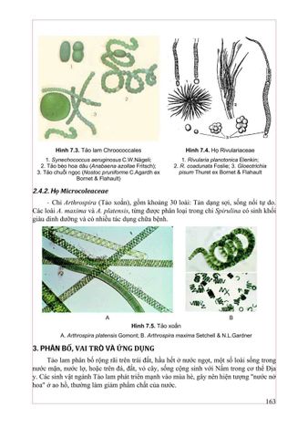  Thực Vật Dược 2025 - PGS.TS. Trần Văn Ơn – TS. Hoàng Quỳnh Hoa 