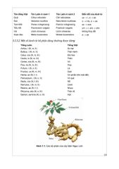 Thực Vật Dược 2025 - PGS.TS. Trần Văn Ơn – TS. Hoàng Quỳnh Hoa