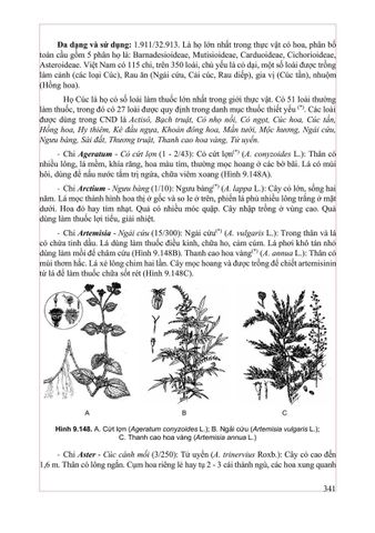  Thực Vật Dược 2025 - PGS.TS. Trần Văn Ơn – TS. Hoàng Quỳnh Hoa 