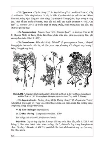  Thực Vật Dược 2025 - PGS.TS. Trần Văn Ơn – TS. Hoàng Quỳnh Hoa 