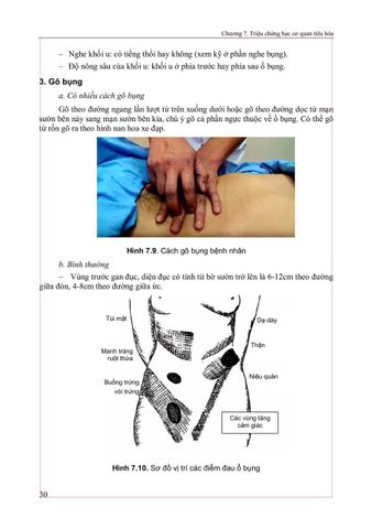  Triệu Chứng Học Nội Khoa Tập 2 (2025) - ĐH Y Hà Nội - Các Bộ Môn Nội 