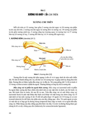  Giải Phẩu Người - Nguyễn Văn Huy (CB) 