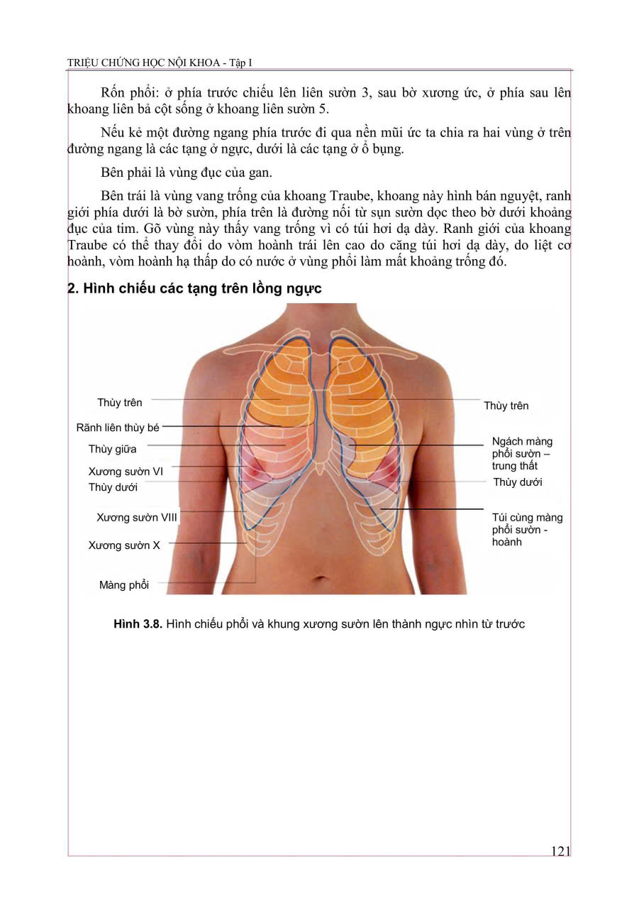 Triệu Chứng Học Nội Khoa - Tập 1 - ĐH Y Hà Nội- Các Bộ Môn Nội