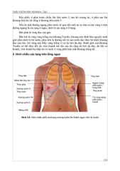 Triệu Chứng Học Nội Khoa - Tập 1 - ĐH Y Hà Nội- Các Bộ Môn Nội
