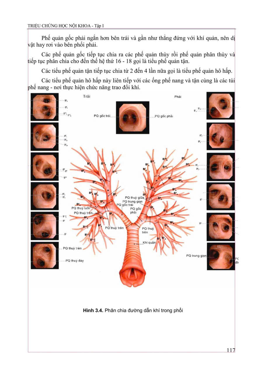 Triệu Chứng Học Nội Khoa - Tập 1 - ĐH Y Hà Nội- Các Bộ Môn Nội