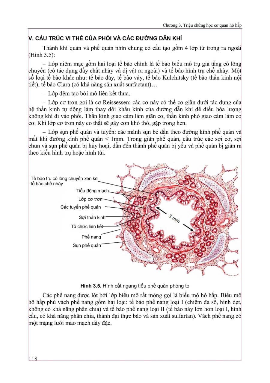 Triệu Chứng Học Nội Khoa - Tập 1 - ĐH Y Hà Nội- Các Bộ Môn Nội