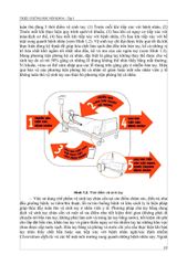 Triệu Chứng Học Nội Khoa - Tập 1 - ĐH Y Hà Nội- Các Bộ Môn Nội