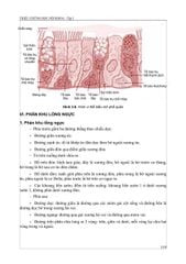 Triệu Chứng Học Nội Khoa - Tập 1 - ĐH Y Hà Nội- Các Bộ Môn Nội