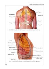 Triệu Chứng Học Nội Khoa - Tập 1 - ĐH Y Hà Nội- Các Bộ Môn Nội