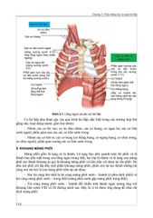 Triệu Chứng Học Nội Khoa - Tập 1 - ĐH Y Hà Nội- Các Bộ Môn Nội