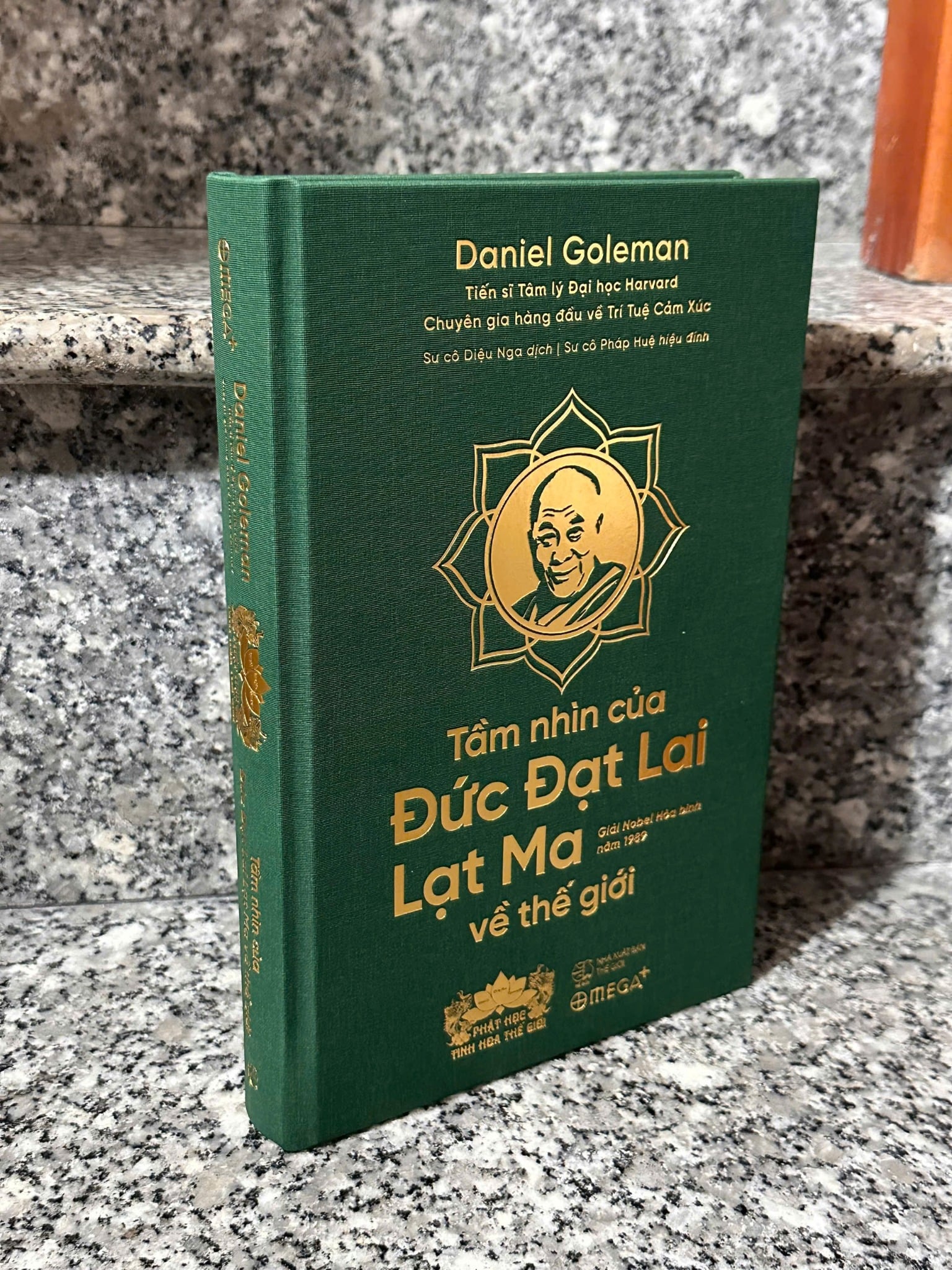 Tầm Nhìn Của Đức Đạt Lai Lạt Ma Về Thế Giới - Bản Đặc Biệt Bìa Da - Daniel Goleman