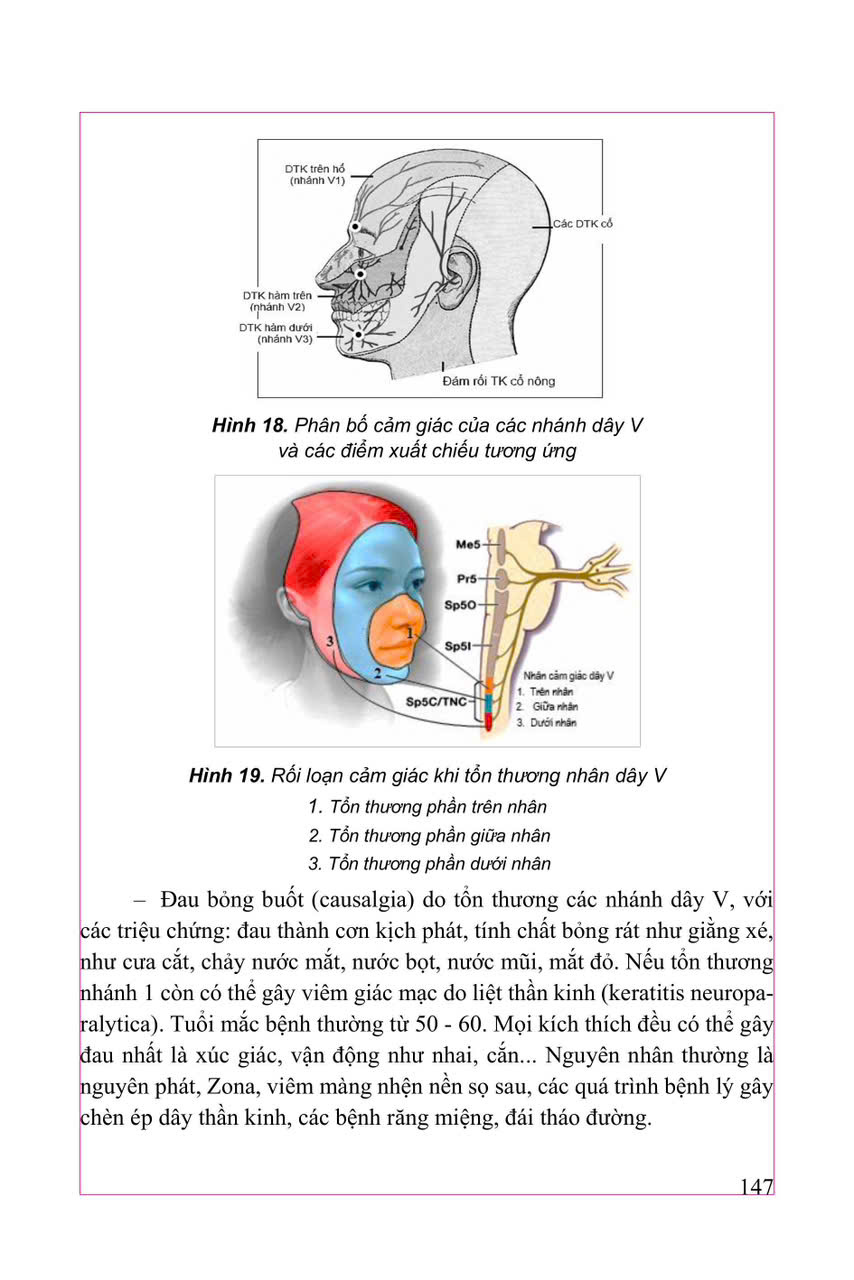 Thực Hành Lâm Sàng Thần Kinh Học Tập II - Triệu Chứng Học - GS.TS.BS Nguyễn Văn Chương