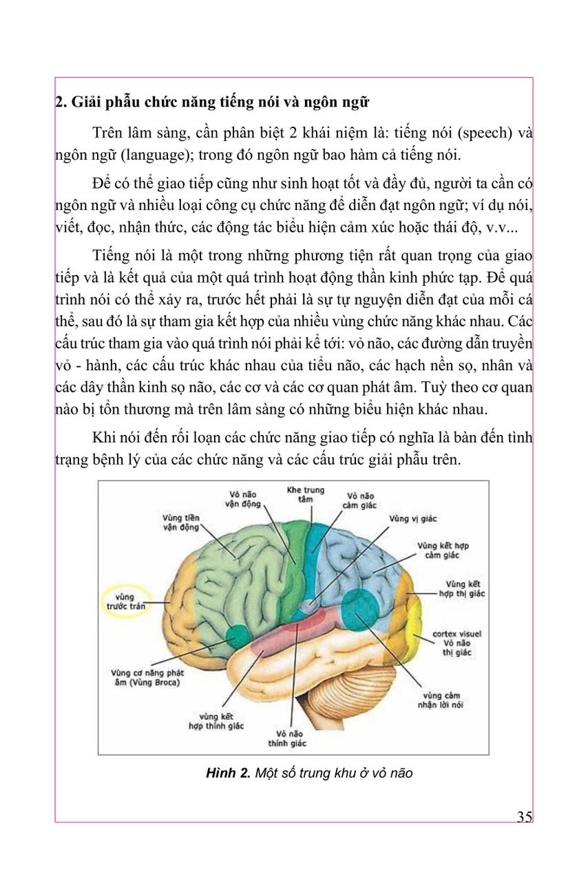 Thực Hành Lâm Sàng Thần Kinh Học Tập II - Triệu Chứng Học - GS.TS.BS Nguyễn Văn Chương