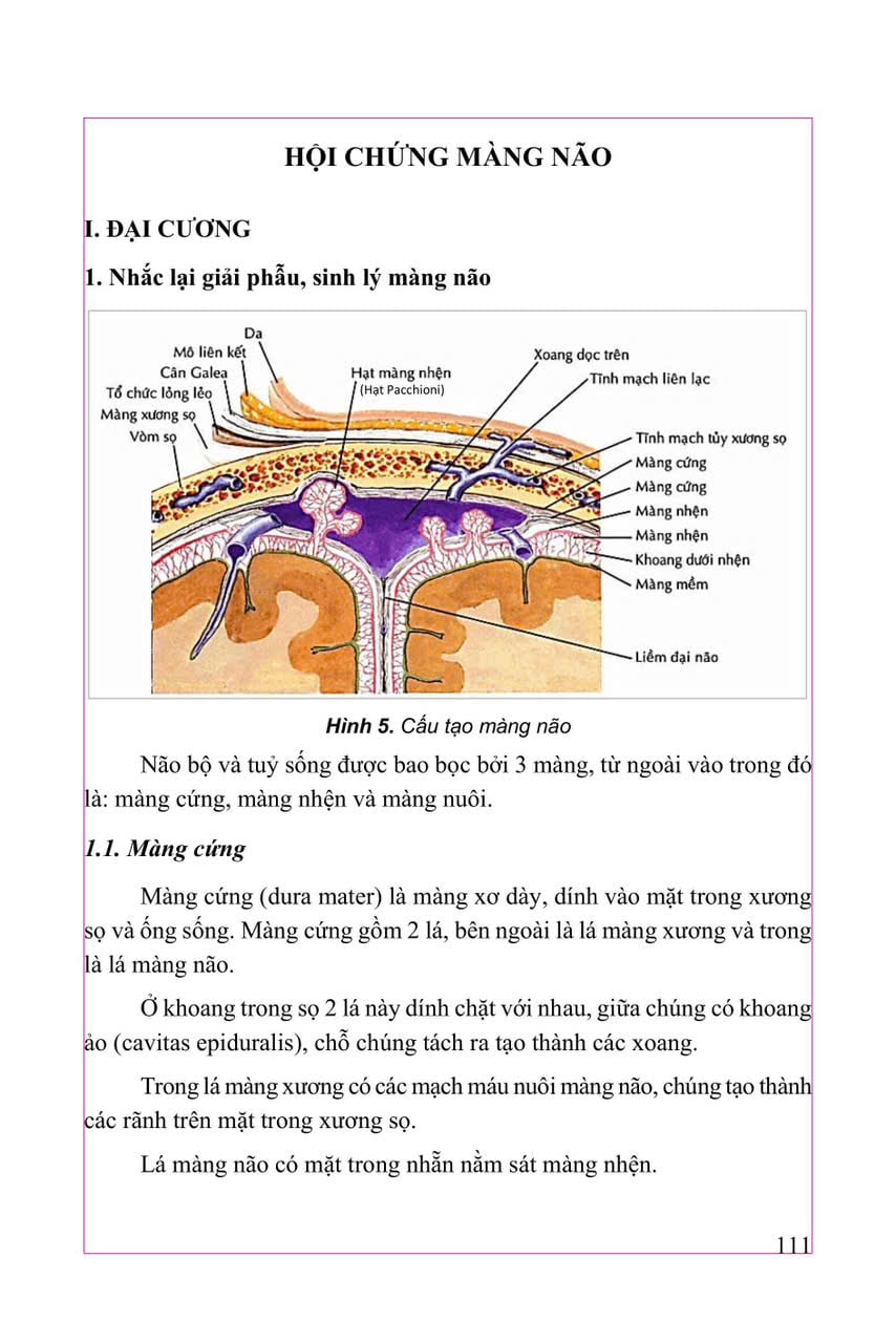 Thực Hành Lâm Sàng Thần Kinh Học Tập II - Triệu Chứng Học - GS.TS.BS Nguyễn Văn Chương
