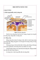 Thực Hành Lâm Sàng Thần Kinh Học Tập II - Triệu Chứng Học - GS.TS.BS Nguyễn Văn Chương