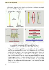 Chẩn Đoán Hình Ảnh Thần Kinh ( Giáo Trình Sau Đại Học ) - PGS.TS Vũ Đăng Lưu