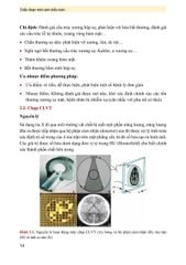 Chẩn Đoán Hình Ảnh Thần Kinh ( Giáo Trình Sau Đại Học ) - PGS.TS Vũ Đăng Lưu
